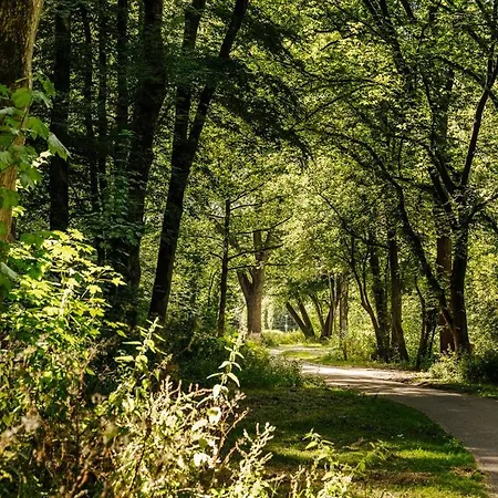 The Quay - Free Parking