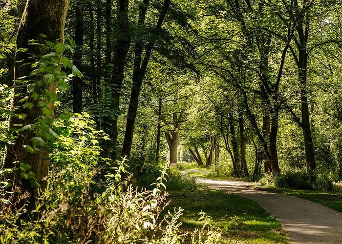 The Quay - Free Parking